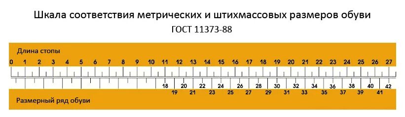 Стопа 21 см. Шкала размеров детской обуви. ГОСТ Размеры обуви. Линейка обуви детской. Размерная шкала обуви детской.