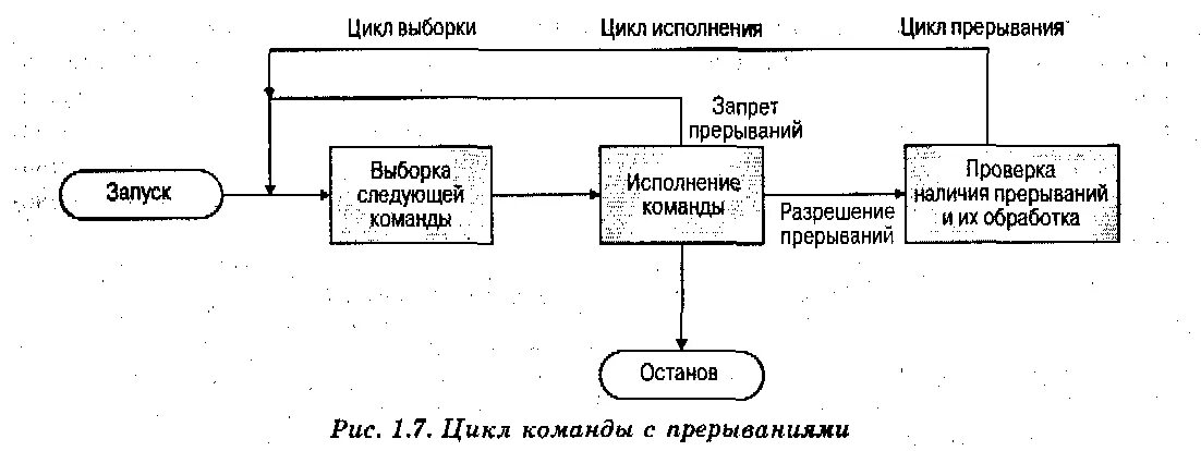 Функции выборки. Цикл выполнения команды. Цикл выполнения команды процессора. Этапы выполнения команды процессором. Этапы выполнения цикла команд процессором.