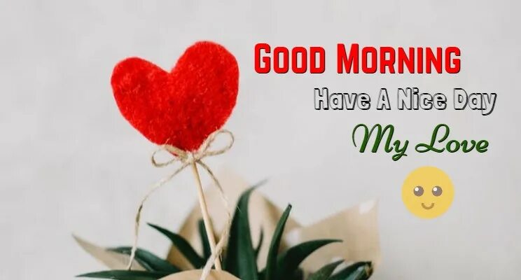 Message mornings. Good morning boyfriend. good morning my boyfriend. гуд монинг май лав. cute good morning messages for my boyfriend.