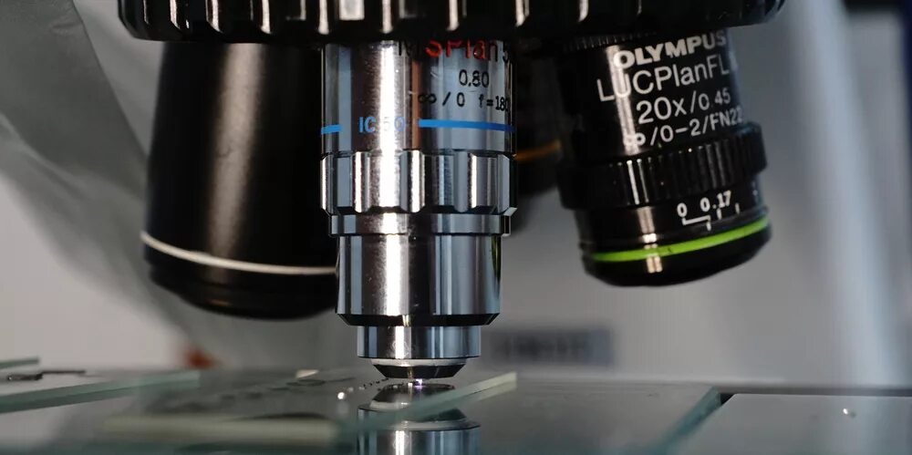 Во сколько раз увеличивает объектив микроскопа. Иммерсионная система микроскопа. Объектив микроскопа Olympus 20. Объектив х20 для микроскопа Olimpus. Микроскоп Olympus объектив 60x.