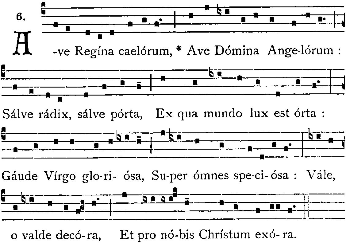 Ave Regina Caelorum. Ave Regina Caelorum Chant. Salve Regina Chant. Ave Regina Caelorum Cantus Firmus. Аве на латыни