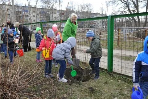 Детский сад посадили деревья
