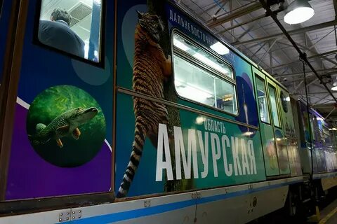Метро дальневосточная
