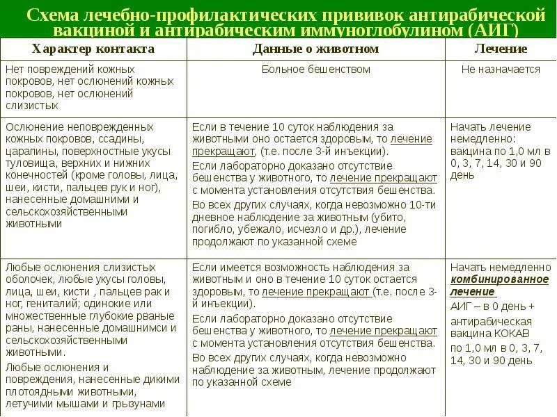 Схема лечебно-профилактических прививок антирабической вакциной. Схема введения антирабической вакцины. Антирабическая профилактика схема. Кокав схема введения.