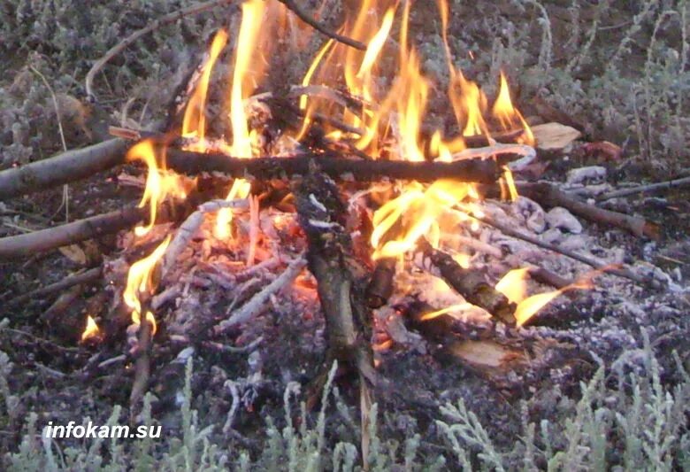 Можно ли жечь ветки на своем участке. Ветки для костра. Костер. Сухие ветки для костра. Разжигание костра на участке.