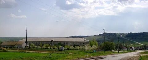 Ново украинка