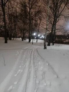 Погода в митино сегодня
