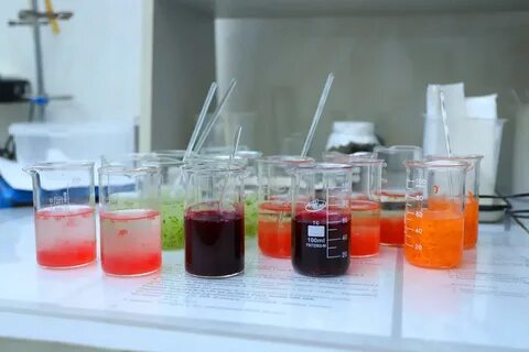 Лабораторное исследование мяса