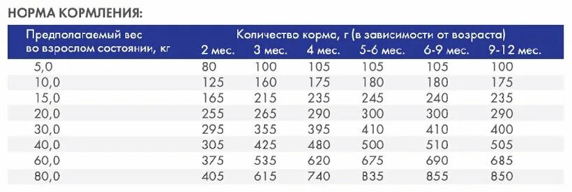 Сухой корм для собак ACARI CIAR JUNIOR 5кг MINI гранула - купить в интернет-мага