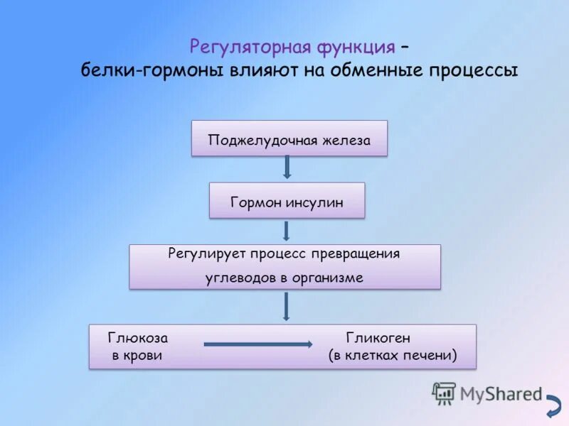 Поджелудочная железа синтез гликогена. Поджелудочная железа Синтез гликогена понижение содержания Глюкозы. Регуляторная функции белков ЕГЭ.