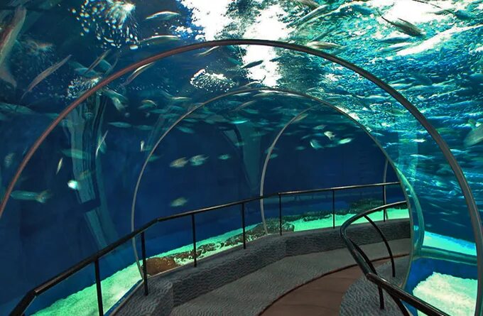Океанариум шанхай. Аквариум Генуи Генуя. Океанариум в Генуе Италия. Генуэзский аквариум (Генуя, Италия). Музей мирового океана аквариум.