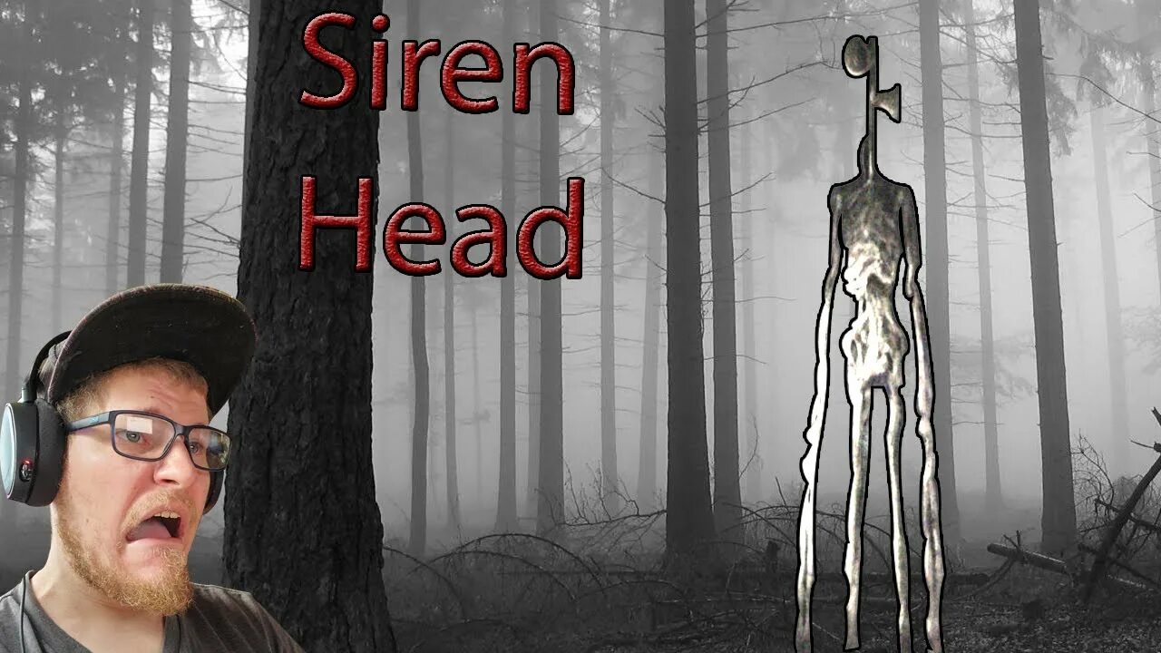 Head part 2. Head part 2