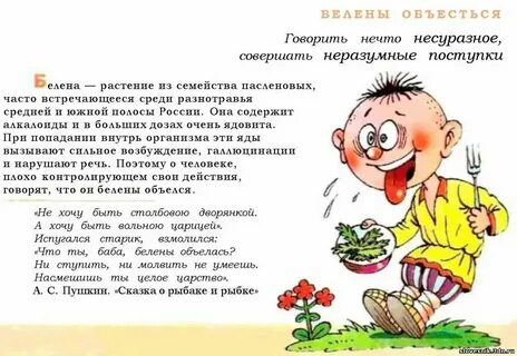 Белены объелась это что