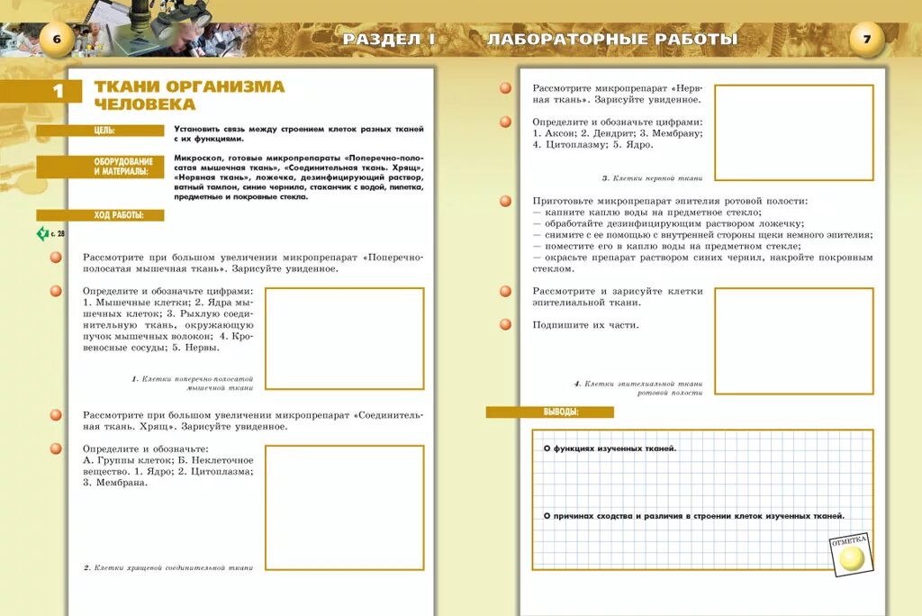 Биология 8 класс лабораторная работа 10. Биология 8 класс тетрадь практикум Сухорукова. Биология практикум 8 класс Сухорукова. Гдз тетрадь практикум по биологии 8 класс Сухорукова. Биология 9 класс Сухорукова тетрадь практикум.