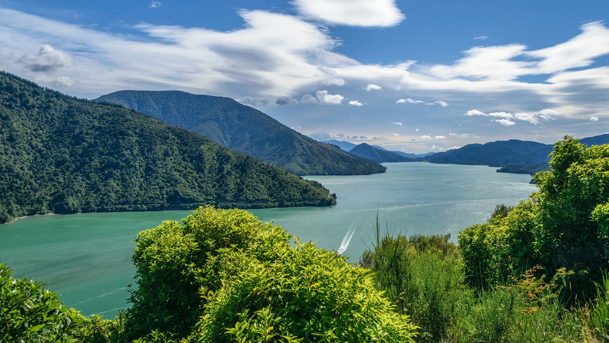 Greens new zealand. Новозеландские субантарктические острова новая зеландия. Greens new zealand. Национальный парк фьордленд новая зеландия дожди. Новая зеландия горы.