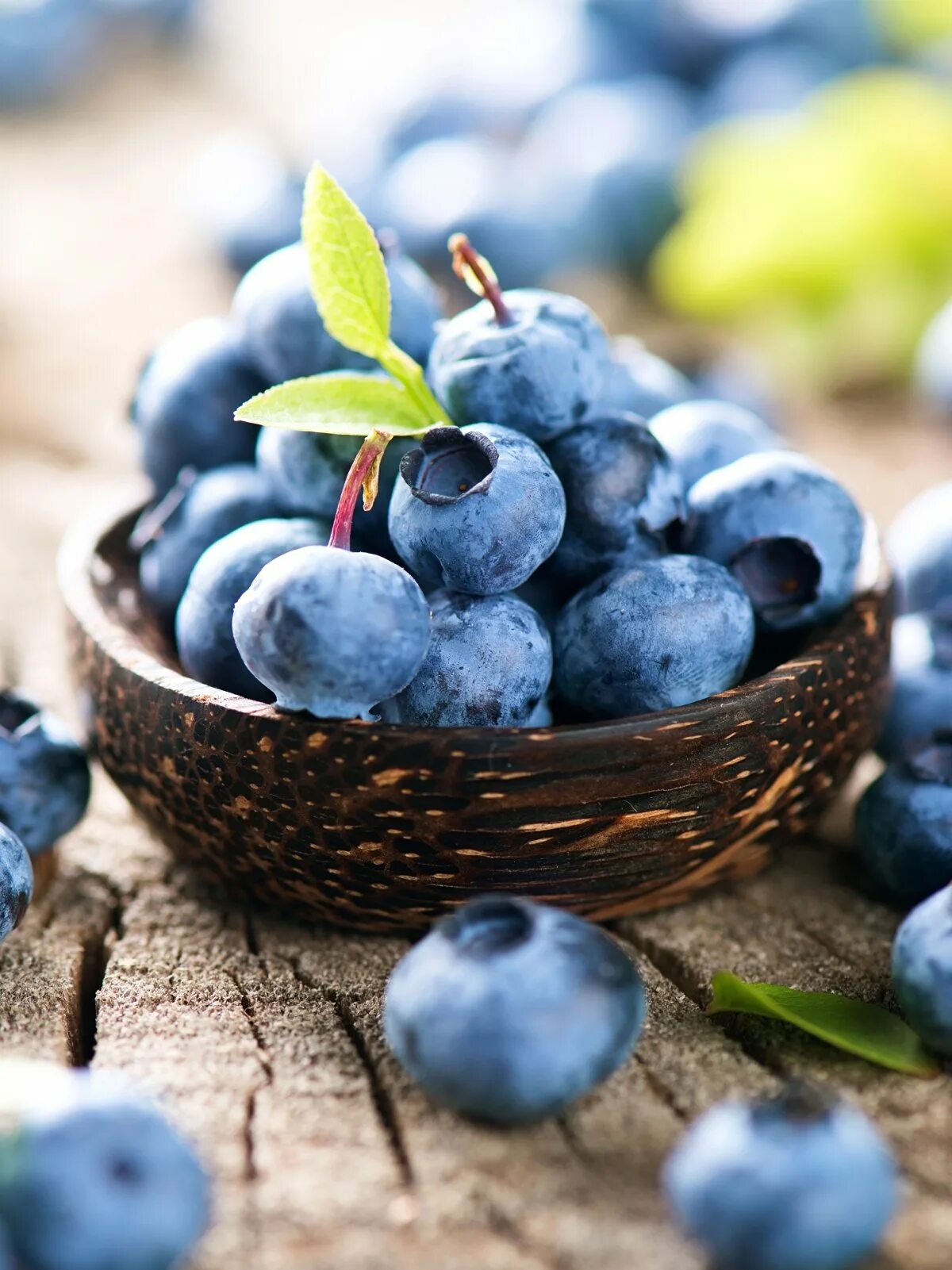 Голубика утром. Черника и голубика. черника blueberry. черника голубика ежевика. голубика легаси.