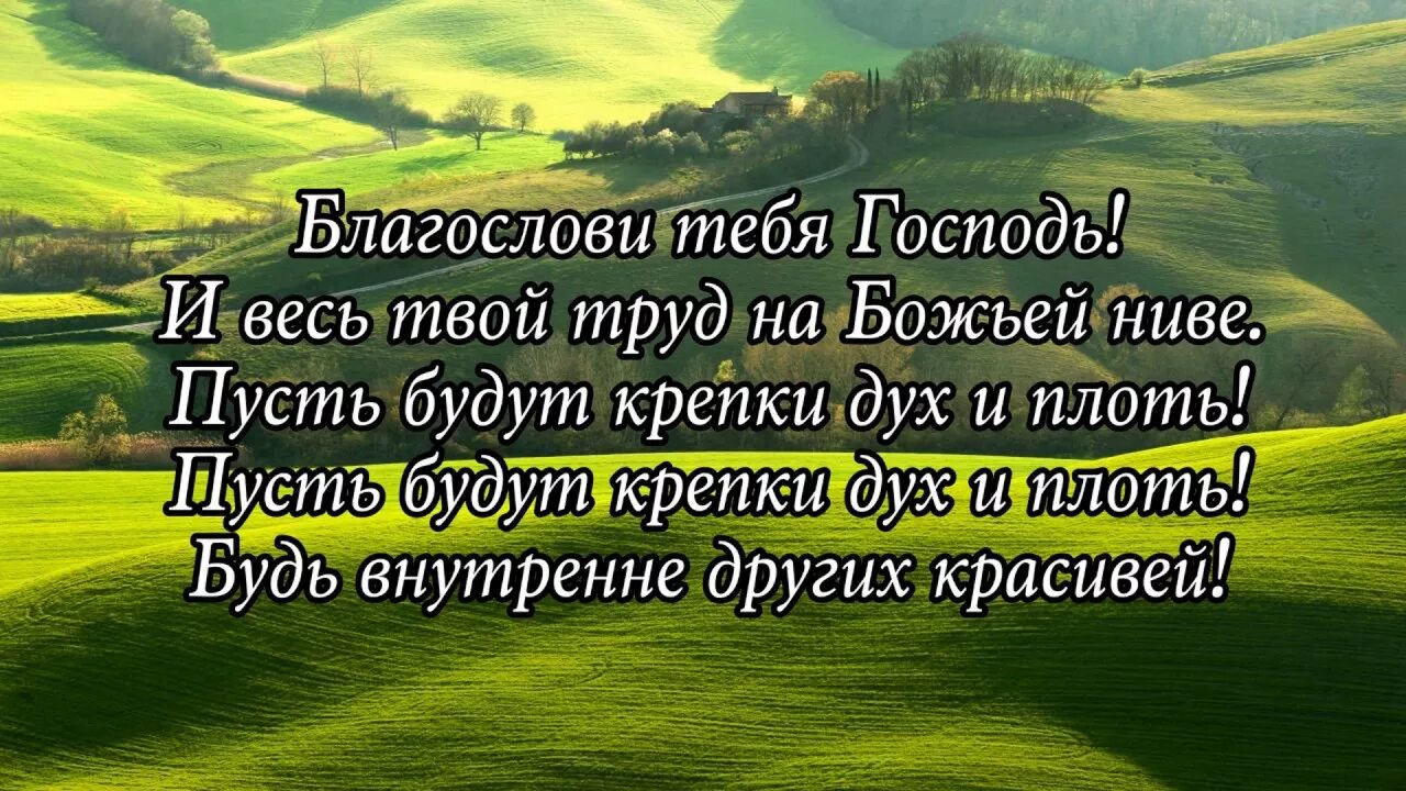 Благослови Господь. Благослови тебя Господь. Пусть Господь благословит. Пусть Господь благословит тебя. Да благословит твою гибель