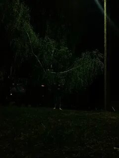 Пробегая по влажной лесной темноте