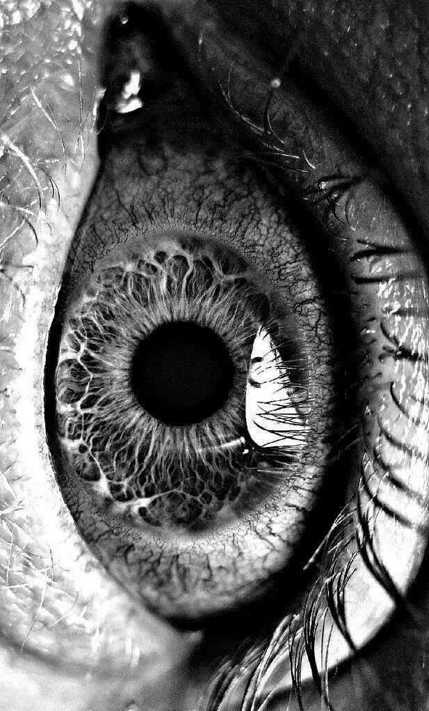 Free Images : light, black and white, woman, darkness, fashion, eyebrow, pupil, 