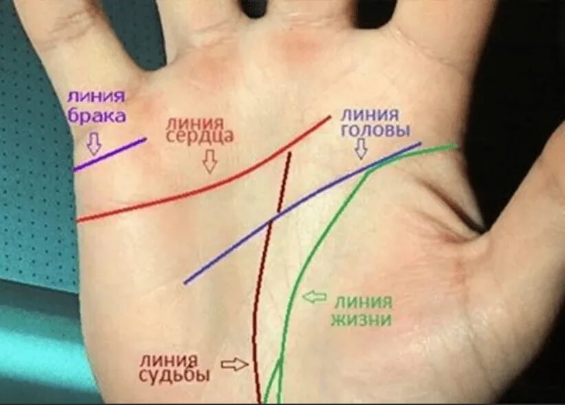 Линии на руке. Хиромантия линии на руке. Линия жизни. Линия жизни на руке.