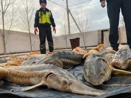 Қара әйелдердің беттеріне сперма түседі