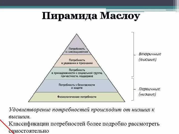 К высшим потребностям относятся