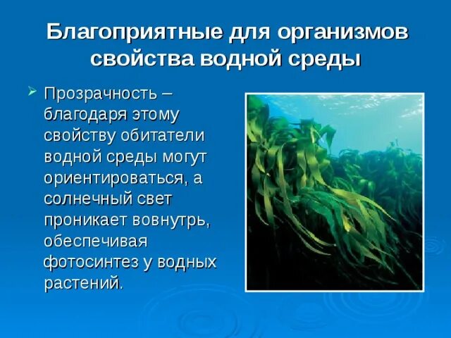Вводная среда обитания. Стабильность водной среды. Особенности среды вода. Характеристика водной среды. Живые организмы обитающие в водной среде.