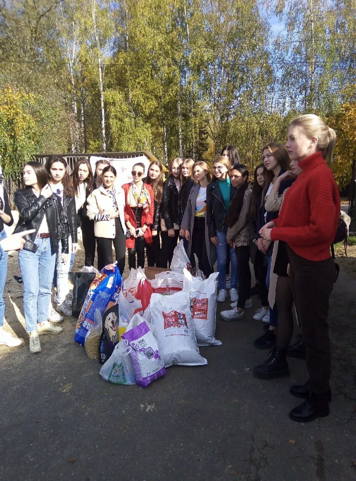 Приют майский день в иваново. Майский день Иваново. Приют Иваново. Приют Майский день.