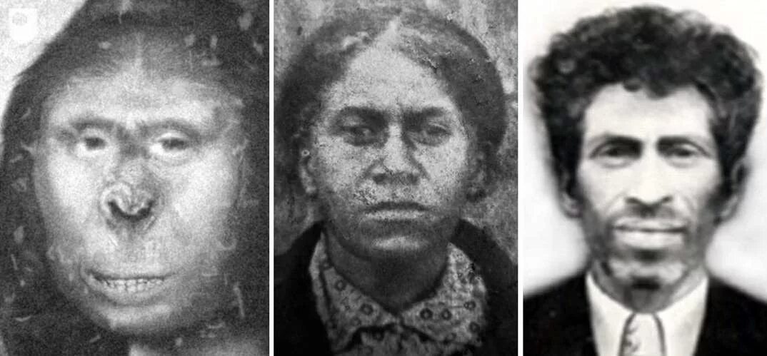 потомок половый