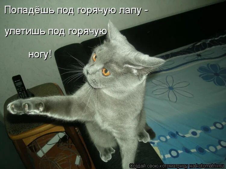 Смешно запеленали ребенка. Выпимши был прикольная картинка. Единоборства юмор. Попасть под горячую руку фразеологизм. Направлено как правильно писать.