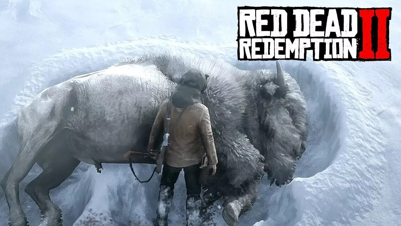 Легендарный бизон. Легендарный белый Бизон rdr 2. Red Dead Redemption 2 легендарный Бизон. Ред дед редемпшен 2 легендарный Бизон.