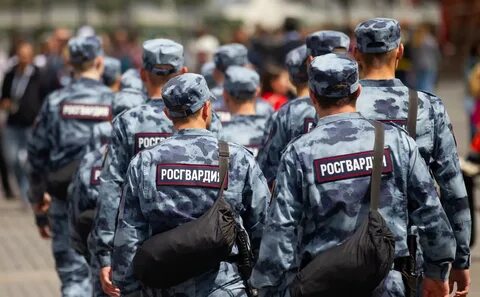 Законопроект о добровольческих в росгвардии