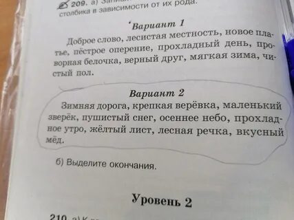 Распредели и запиши имена прилагательные