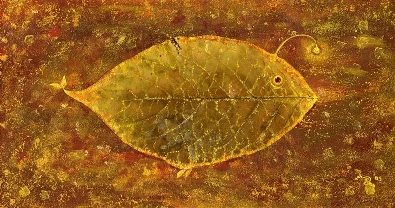 Рыбка лист. Амазонская рыба лист. рыба листик. рыба похожая на лист. плоская рыба похожая на осенний лист.