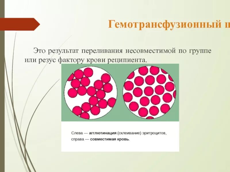 Склеивание эритроцитов