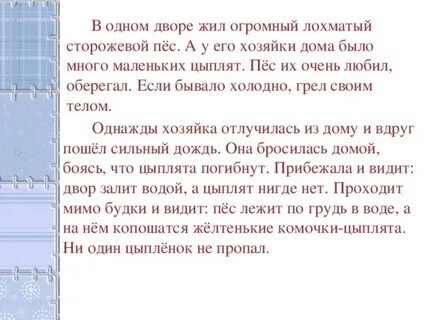 В одном дворе живут четыре