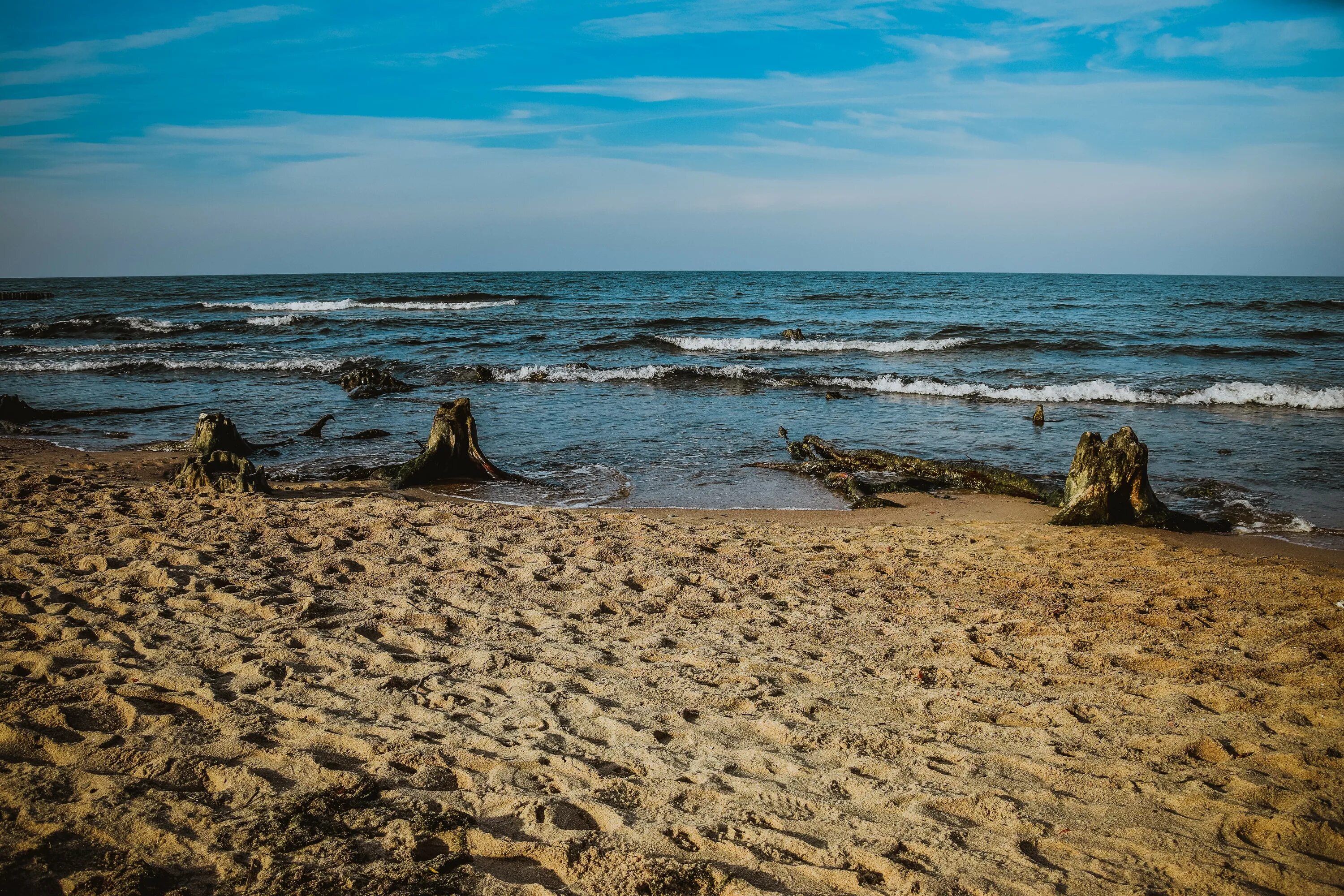 Песок зеленоградск. Балтийское море Зеленоградск. Пляж «дикий берег» ЮАР. Зеленоградск дикий пляж. Балтийское море пляж Зеленоградск.