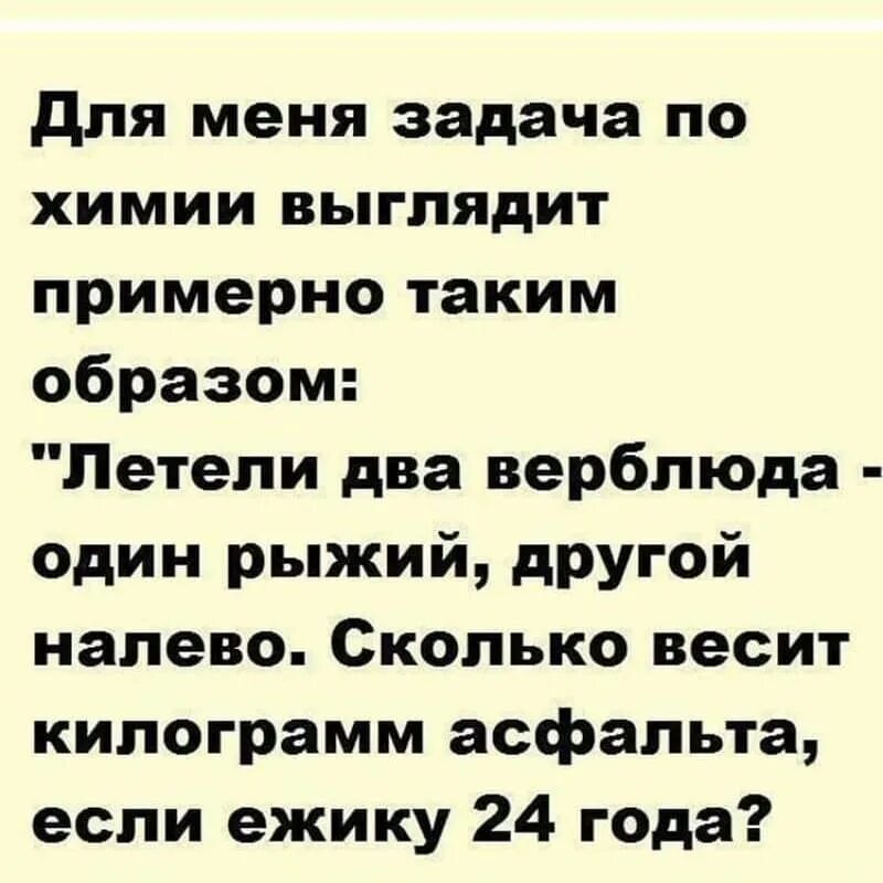 летели 2 верблюда 1 рыжий другой налево. загадка про верблюда. школьная программа выглядит так летели два верблюда. ежик верблюд асфальт загадка. шутки про школу.