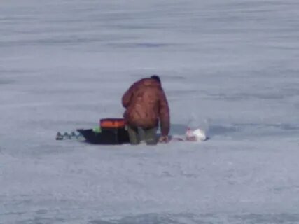 Запрет рыбинское водохранилище