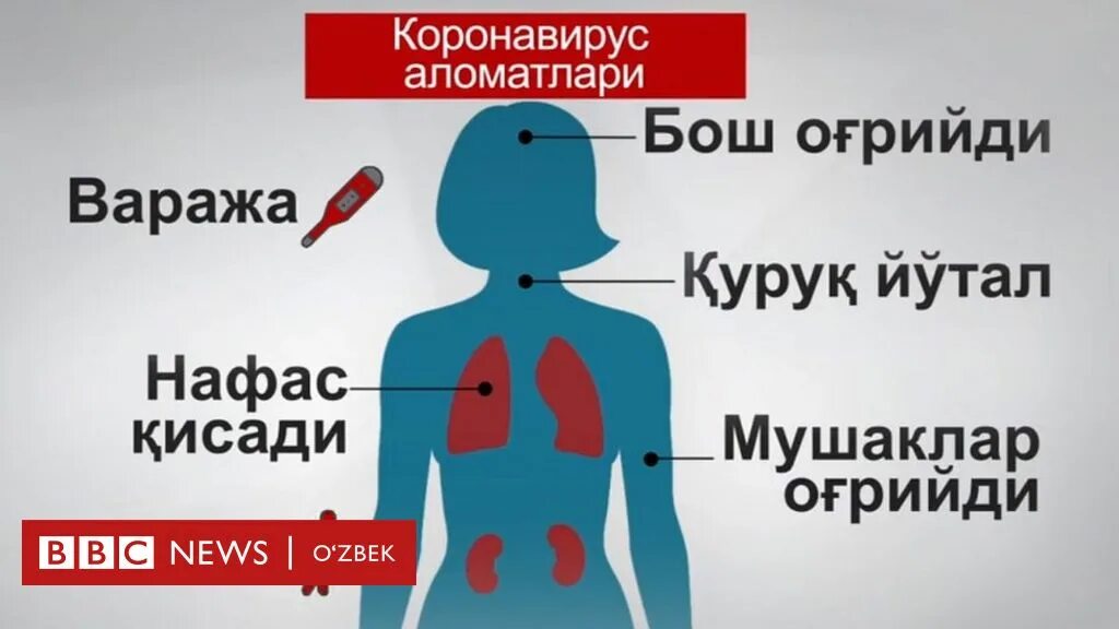 Коронавирус аломатлари. Коронавирус белгилари. Коронавирус белгилари аломатлари. Коронавирус haqida.