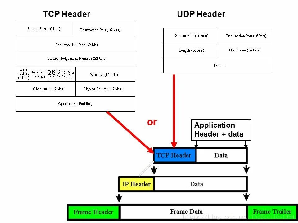 Udp open. Tcp протокол структура. заголовок протокола tcp. протоколы tcp и udp. tcp протокол формат пакета.