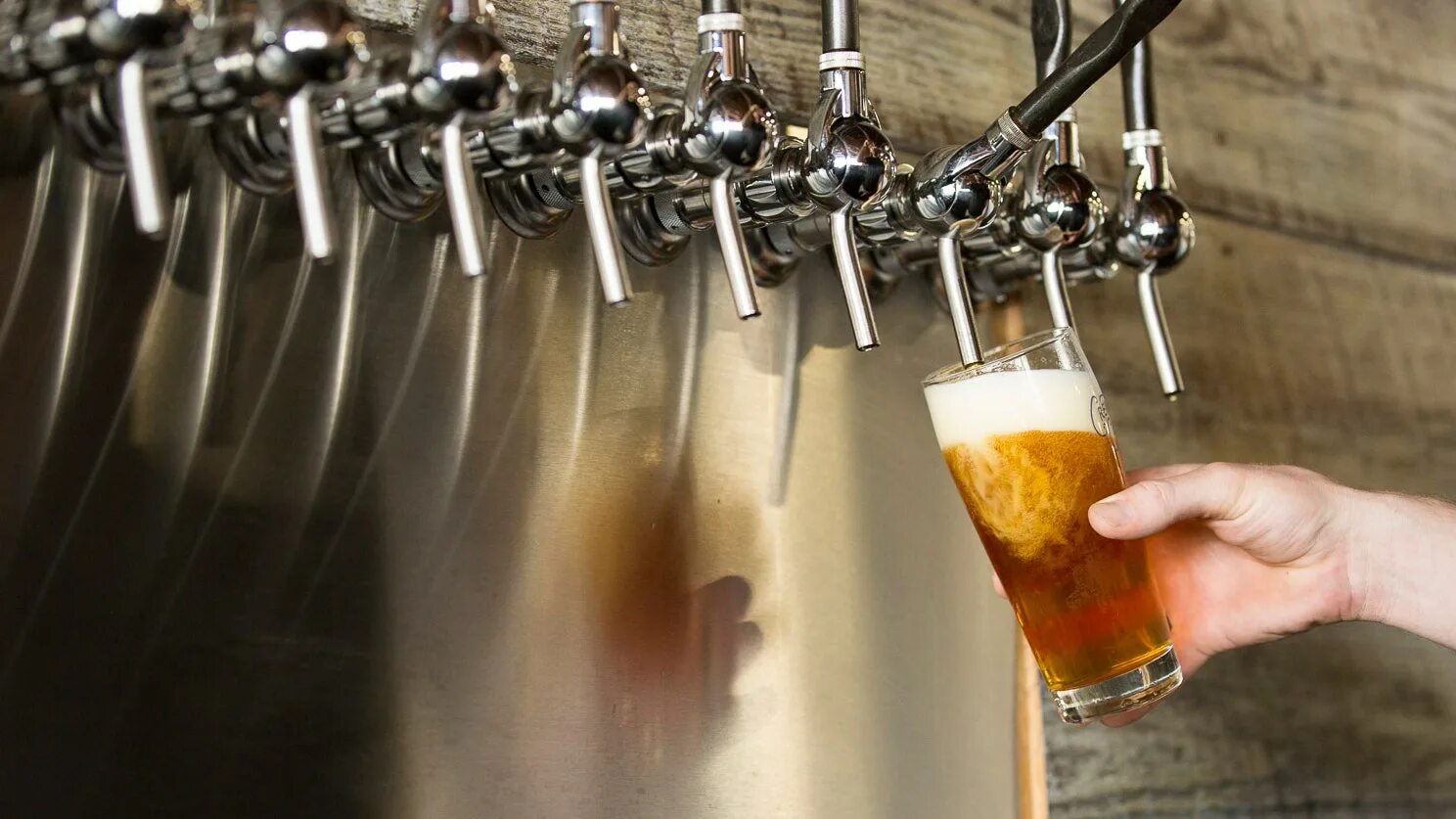 пивная оптом. бельгийское пиво в банке. пиво бутылочное. пиво импортное в бутылках. 5 литра.