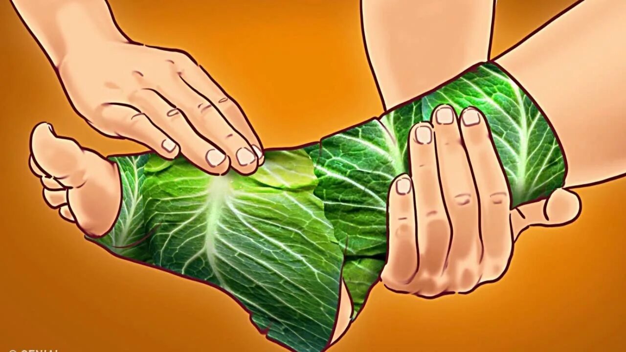 Капустный лист при болях в суставах. Компресс с капустным листом. компресс на стопу ноги капустным листом.