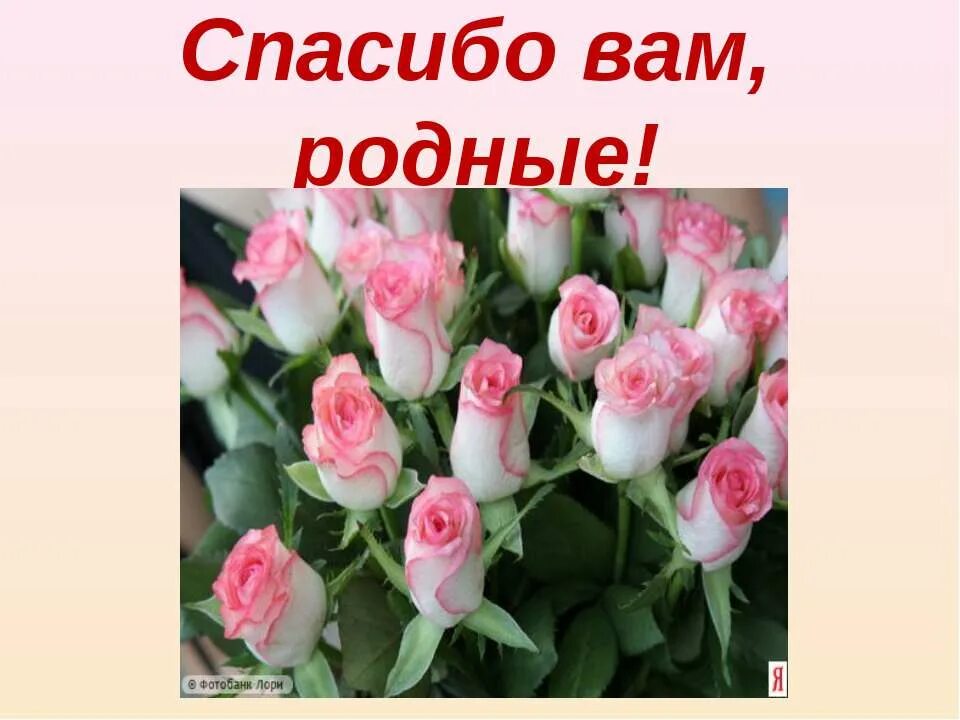 Родная спасибо за день спасибо за ночь. Спасибо родные. Спасибо Мои родные. Спасибо вам родные. Спасибо вам наши любимые.