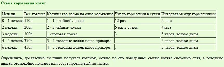 Котенку месяц чем кормить без матери. Сколько корма давать котёнку 2.5 месяца. Интервал кормления котенка 2 месяца. Сколько корма давать котенку в 1.5 месяца. Сколько кормить 5 месячного котенка.