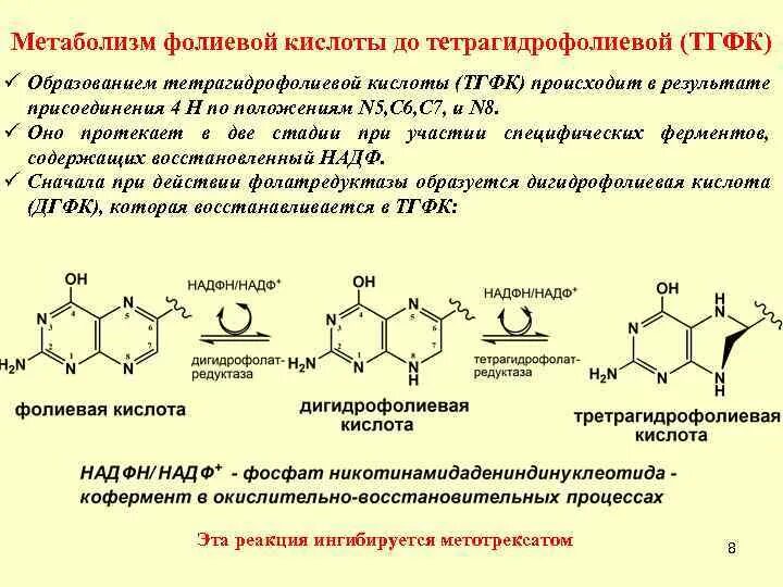 Образование активной формы фолиевой кислоты. Тетрагидрофолиевая кислота формула. Образование тетрагидрофолиевой кислоты. B9 фолиевая кислота кофермент.