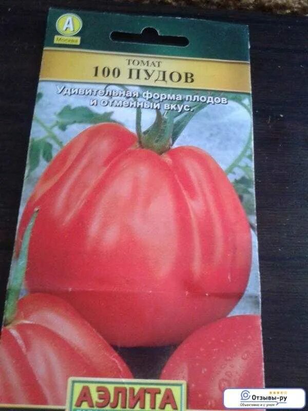 Томаты сто пудов описание сорта отзывы. Томат СТО пудов семена. Томат СТО пудов характеристика.