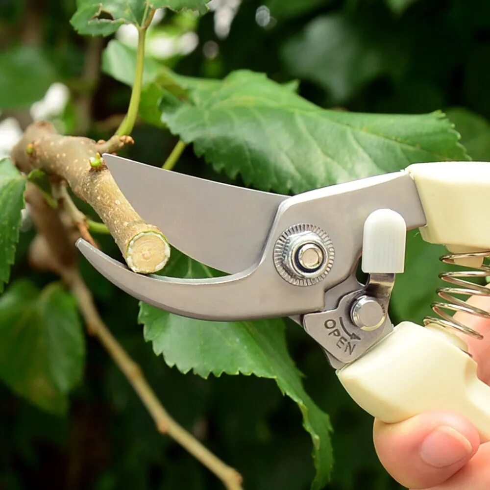 Ножницы для обрезки деревьев. Секатор садовая ножница. секатор garden tools. секатор pruning scissors sk-5 hongte. ножницы gardena bonsai.