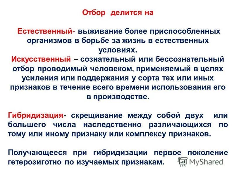 Отбор проводимый человеком. Бессознательный и методический отбор. Бессознательный искусственный отбор. Сознательный и бессознательный отборискуственвй отбор. Бессознательный метод селекции.