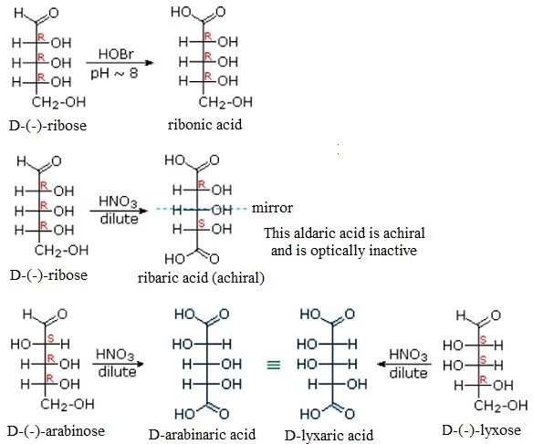 Рибоза реакция гидролиза. Рибоза и арабиноза. Арабиноза окисление. Арабиноза кислота. Реакция восстановления д рибозы.